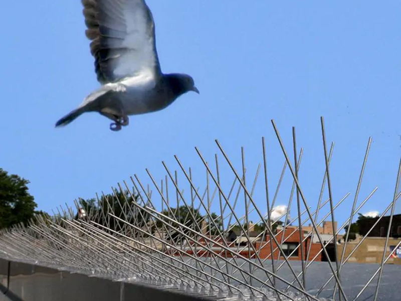 20 Pcs  {Bird Spikes 50CM s Wall Fence  PP Bird Repeller Deterrent Fence Spike 