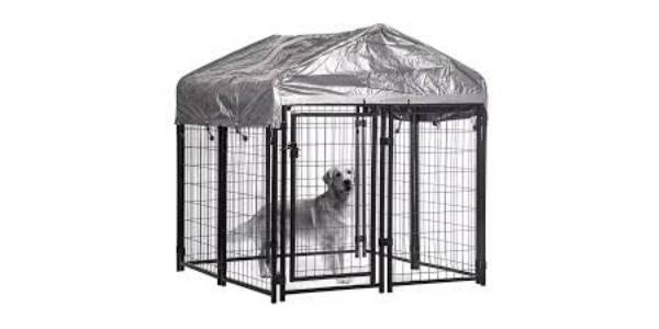 A dog in the dog ken.